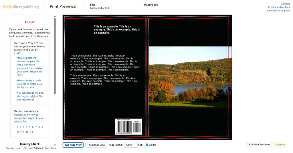 A screenshot from the KDP Previewer tool. Along the left side of the screen are errors the tool has picked up. Taking up the majority of the screen is the preview of our example book's cover.