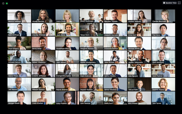 A screenshot of a Zoom meeting using Gallery view. 
