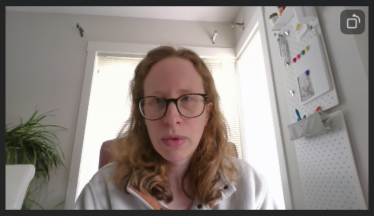 A screenshot of a Zoom vide preview with default settings. 