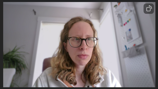 A screenshot of a Zoom vide preview with Portrait lighting on. 