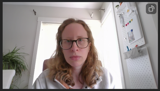 A screenshot of a Zoom vide preview with Touch up on.  