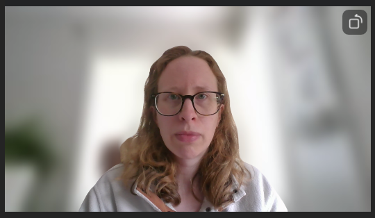 A screenshot of a Zoom vide preview with a blurred background. 