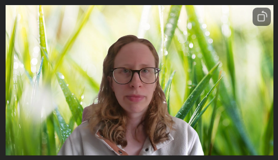 A screenshot of a Zoom vide preview with a virtual background of lush green grass. 