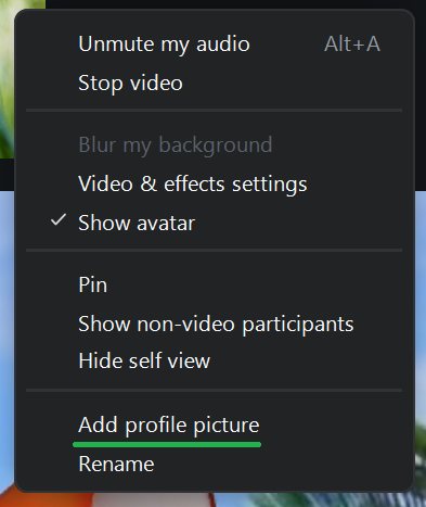 A screenshot of a Zoom meeting menu. 