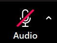 A screenshot from the Zoom Meeting Controls toolbar of a microphone icon.