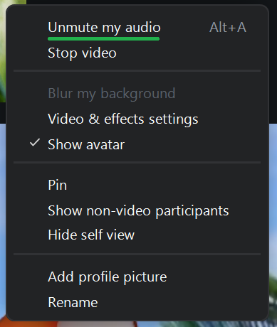 A screenshot of a Zoom meeting menu. 