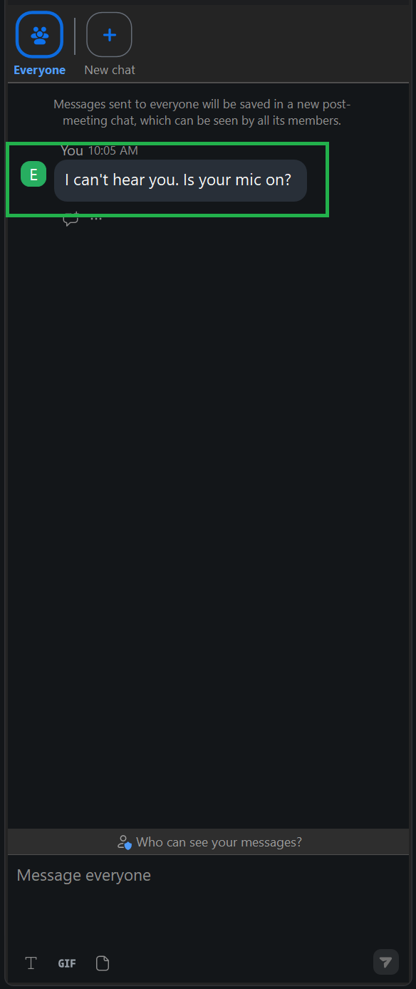 A screenshot of the Zoom Chat panel.