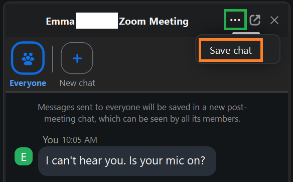 A screenshot of the Zoom Chat panel.