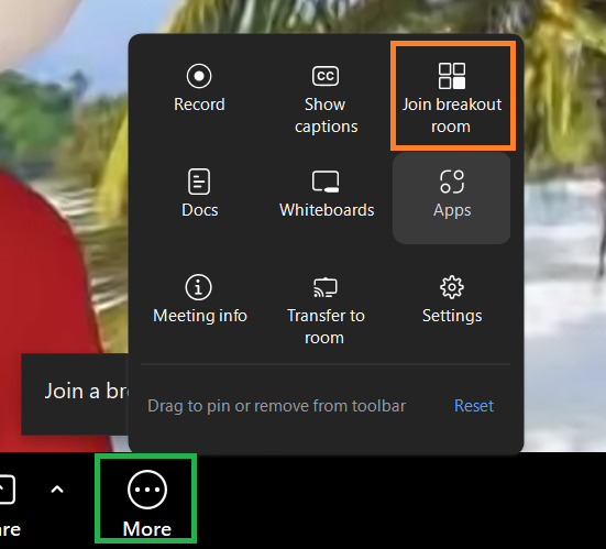 A screenshot of the Zoom meeting More menu.
