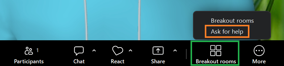 A screenshot of the Zoom meeting controls toolbar. 