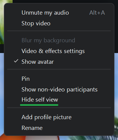 A screenshot of a Zoom meeting menu. 