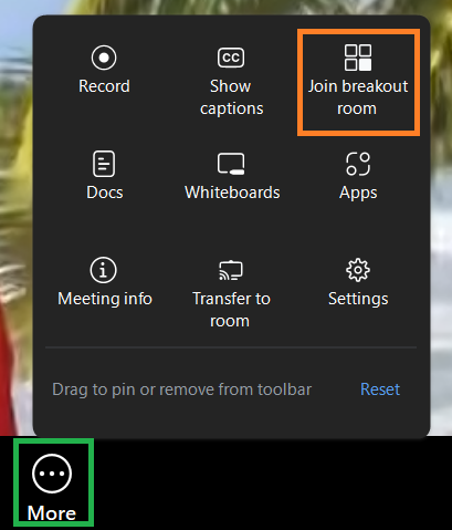 A screenshot of the Zoom meeting More menu.