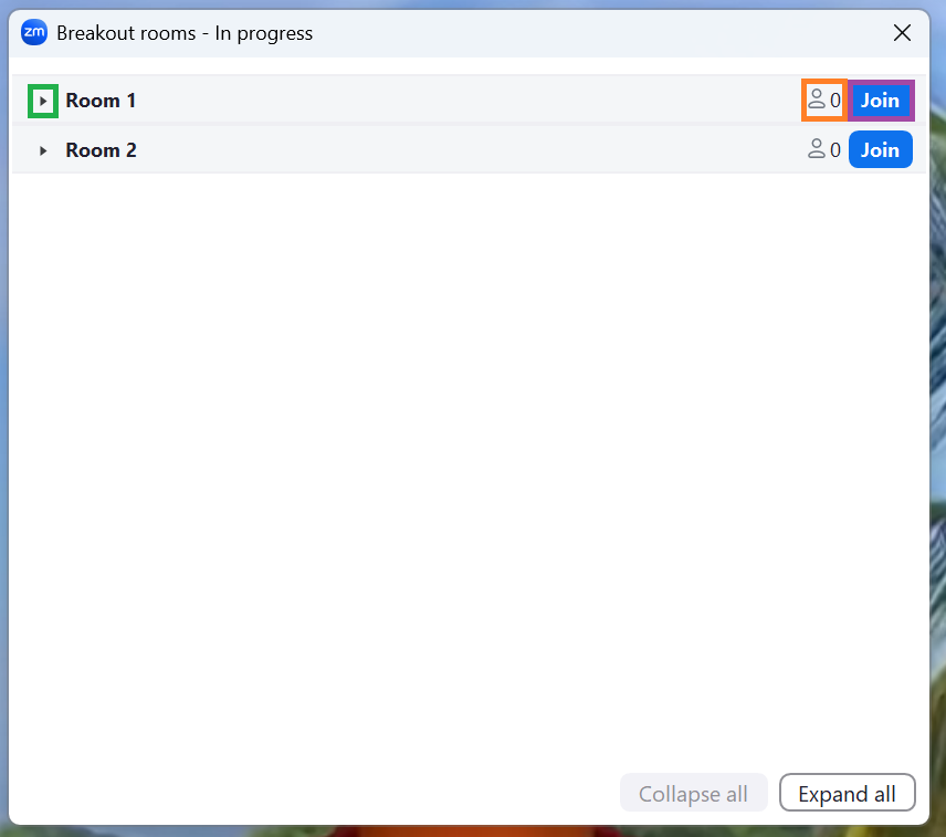 A screenshot of the Zoom meeting Breakout rooms menu. Two different breakout rooms are listed. 