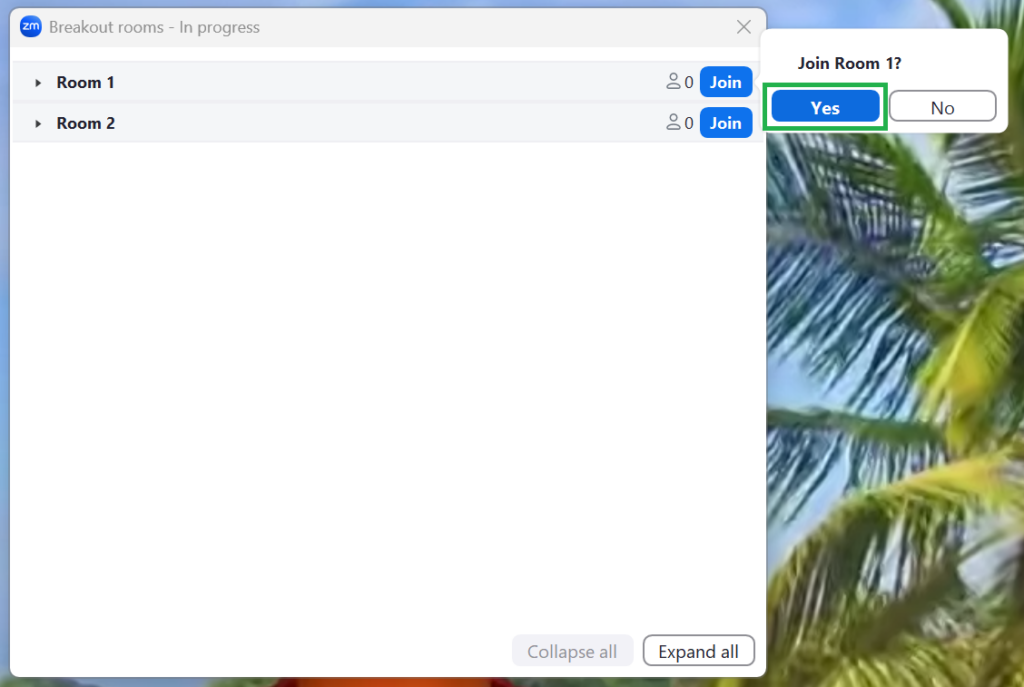 A screenshot of the Zoom meeting Breakout rooms menu. Two different breakout rooms are listed. 