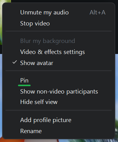 A screenshot of a Zoom meeting menu. 