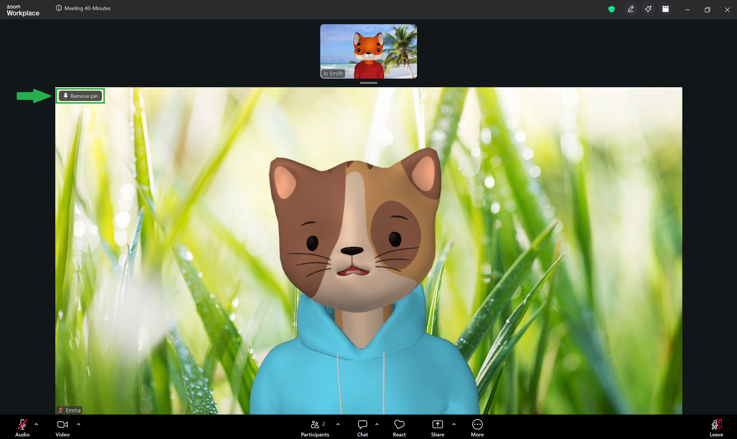 A screenshot of a Zoom meeting with a pinned video. 