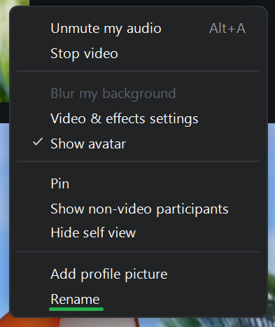 A screenshot of a Zoom meeting menu. 