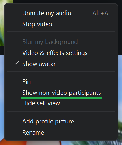 A screenshot of a Zoom meeting menu. 