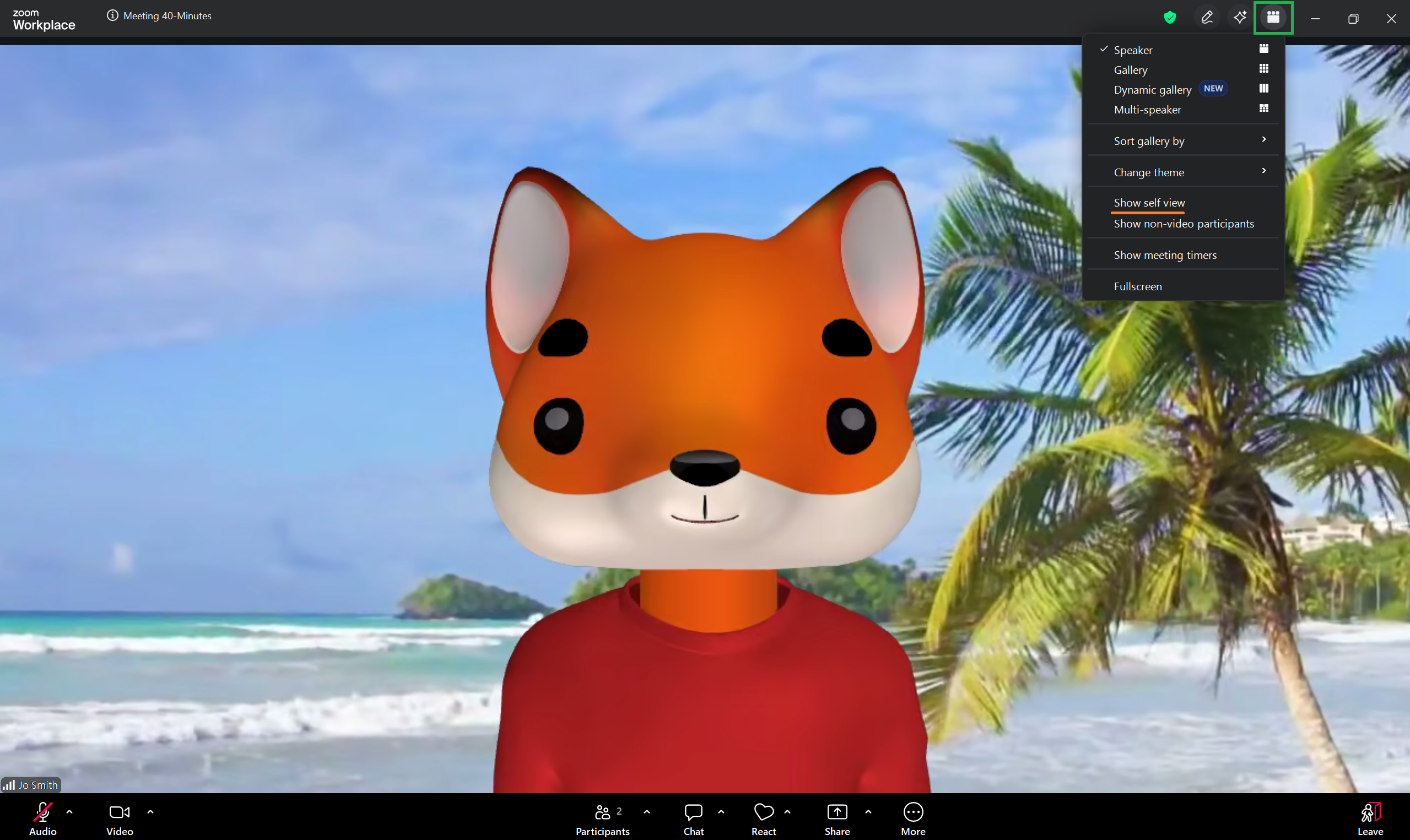 A screenshot of a Zoom meeting. The 'View' menu is open. 