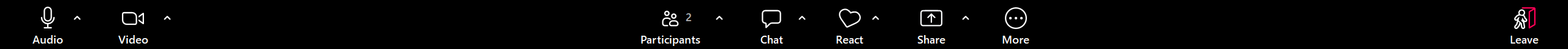 A screenshot of the Zoom Meeting Controls toolbar. 