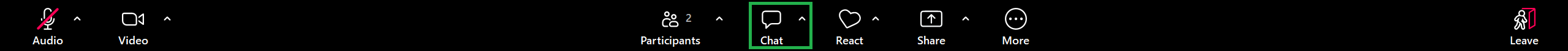 A screenshot of the Zoom Meeting Controls toolbar. 