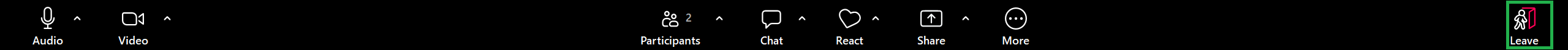 A screenshot of the Zoom Meeting Controls toolbar. 