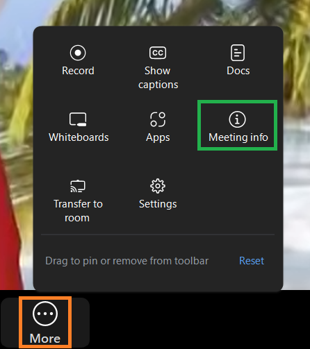 A screenshot of the Zoom meeting More menu. 