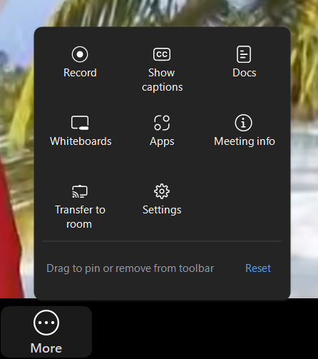 A screenshot of the Zoom meeting More menu. 
