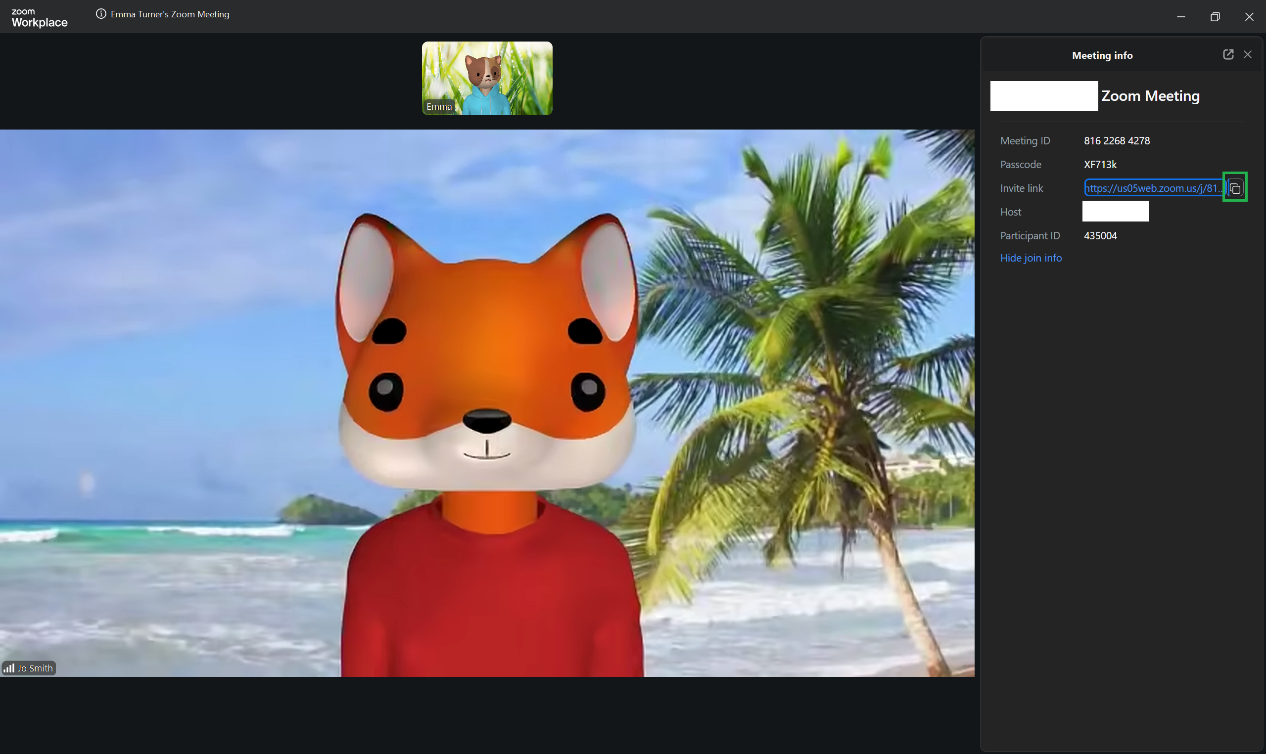 A screenshot of a Zoom meeting with an open Meeting Info menu. 