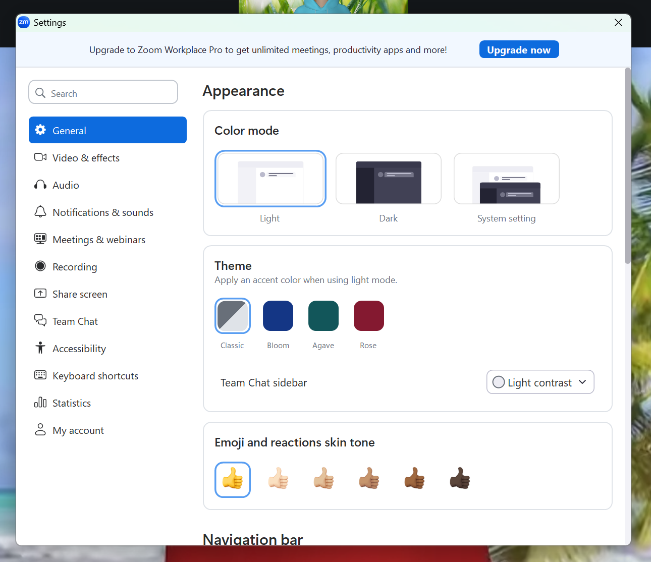 A screenshot of the Zoom meeting Settings menu. 