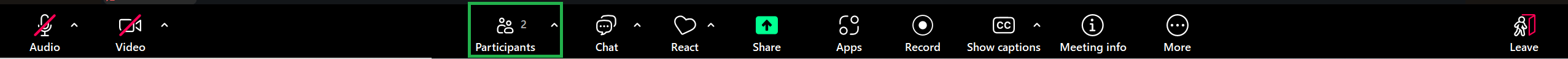 A screenshot of the Zoom Menu Controls toolbar. 
