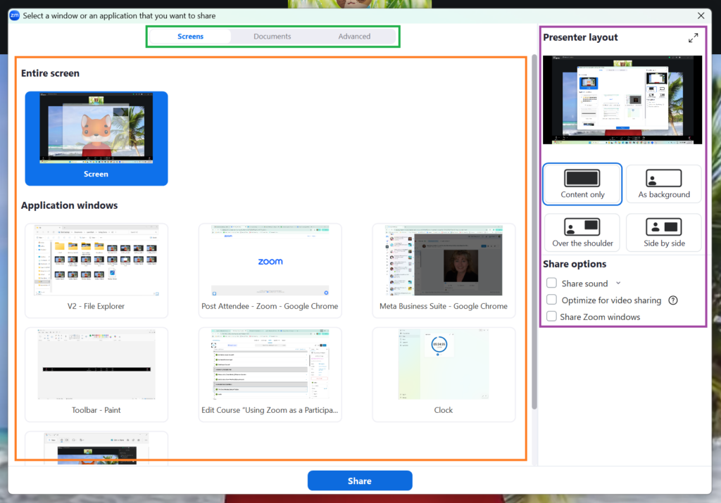 A screenshot of the Zoom meeting share menu.