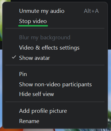 A screenshot of a Zoom meeting menu. 