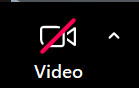 A screenshot from the Zoom Meeting Controls toolbar of a video camera icon.