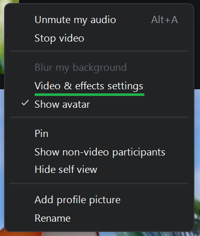 A screenshot of a Zoom meeting menu. 