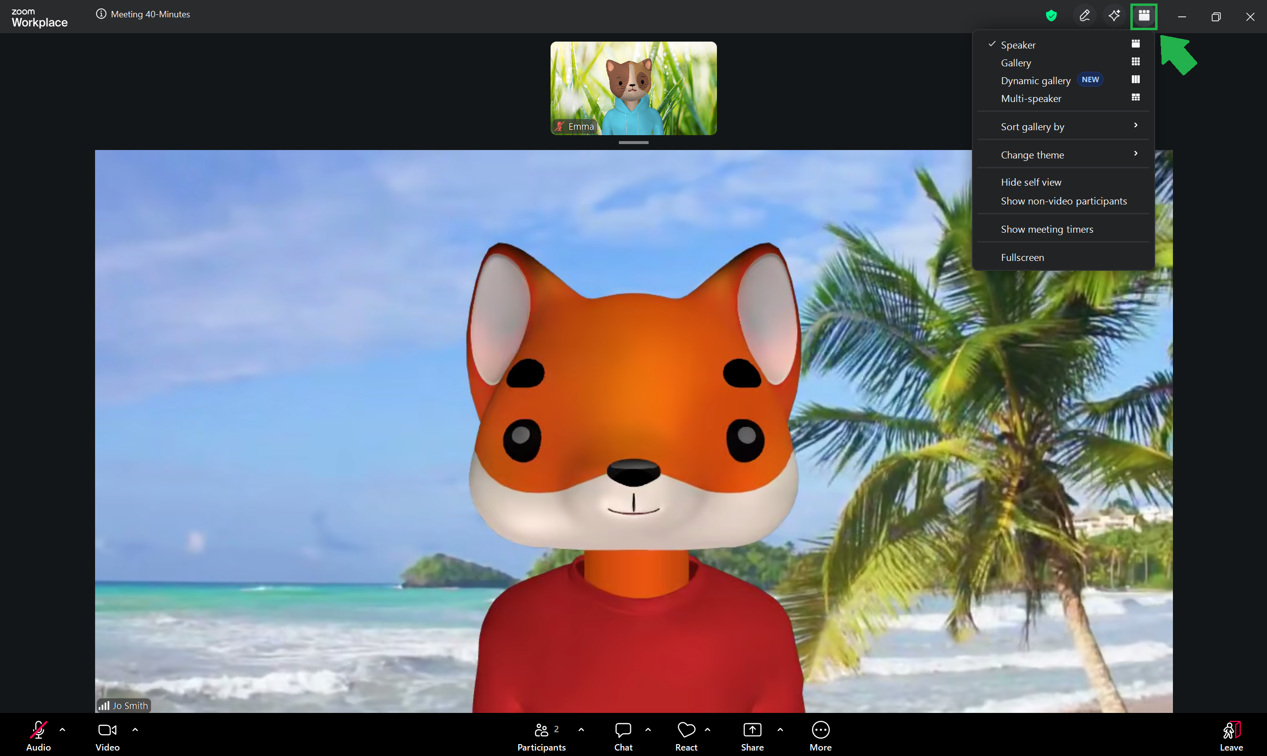 A screenshot of a Zoom meeting with the View menu open. 