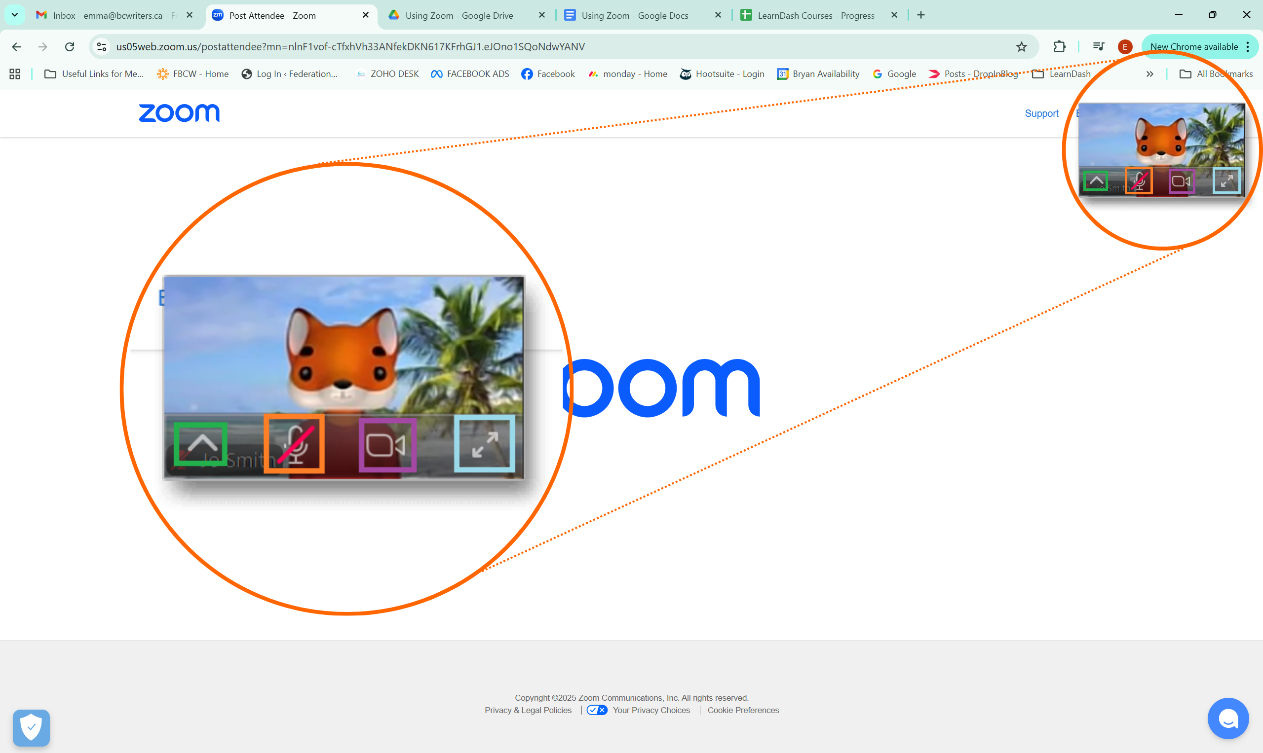 A screenshot of a Zoom meeting in Floating Thumbnail mode. 