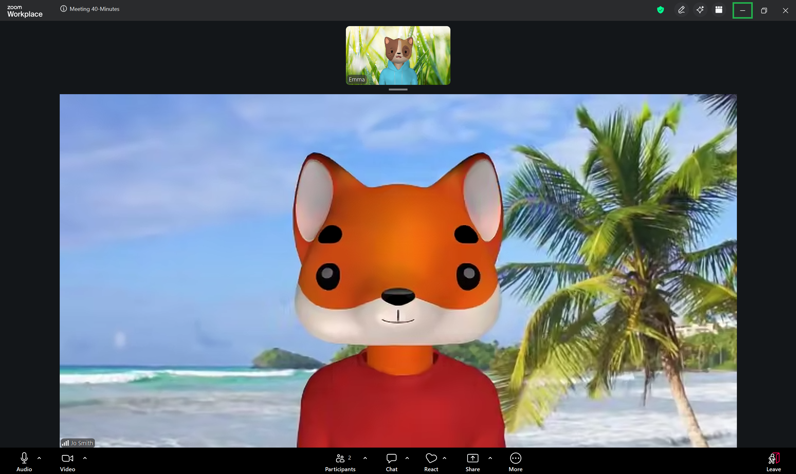 A screenshot of the Zoom meeting screen. 