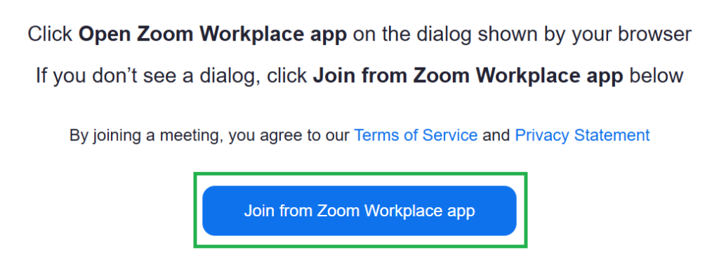 A screenshot of  https://zoom.us/test after Join has been clicked. 